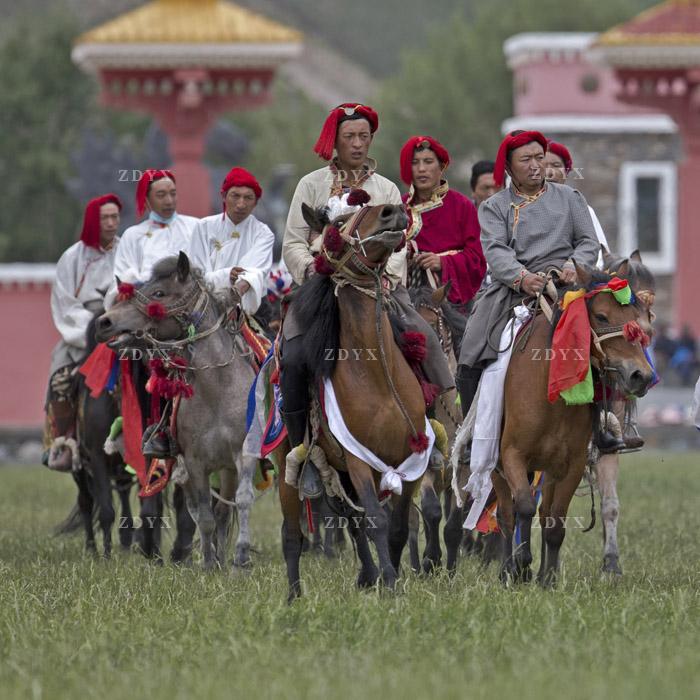 藏地玉树赛马会马队07 tibet yushu jockey club horse team