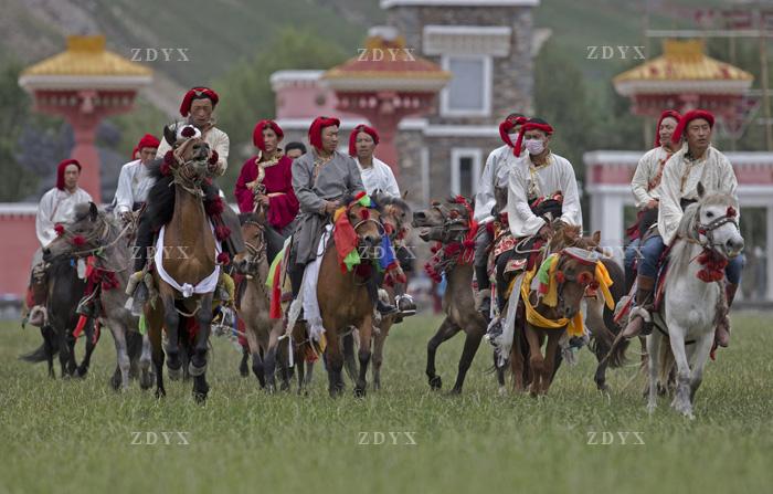 藏地玉树赛马会马队08 tibet yushu jockey club horse team