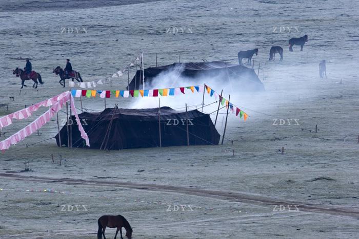 藏地玉树地区黑牦牛帐篷