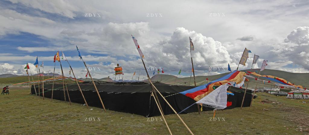 藏地玉树地区黑牦牛帐篷