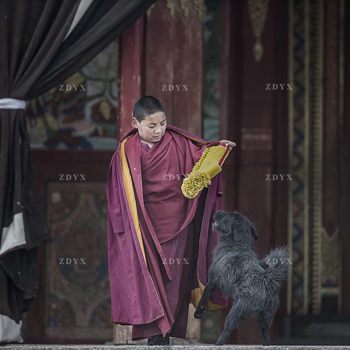 藏地佛界23 tibetan buddhism