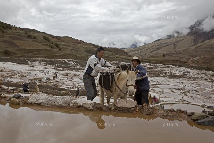 玉树囊谦县娘拉乡多伦多古盐田33 yushu nangqian county niangla